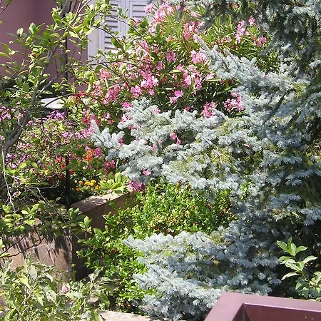 Flower *